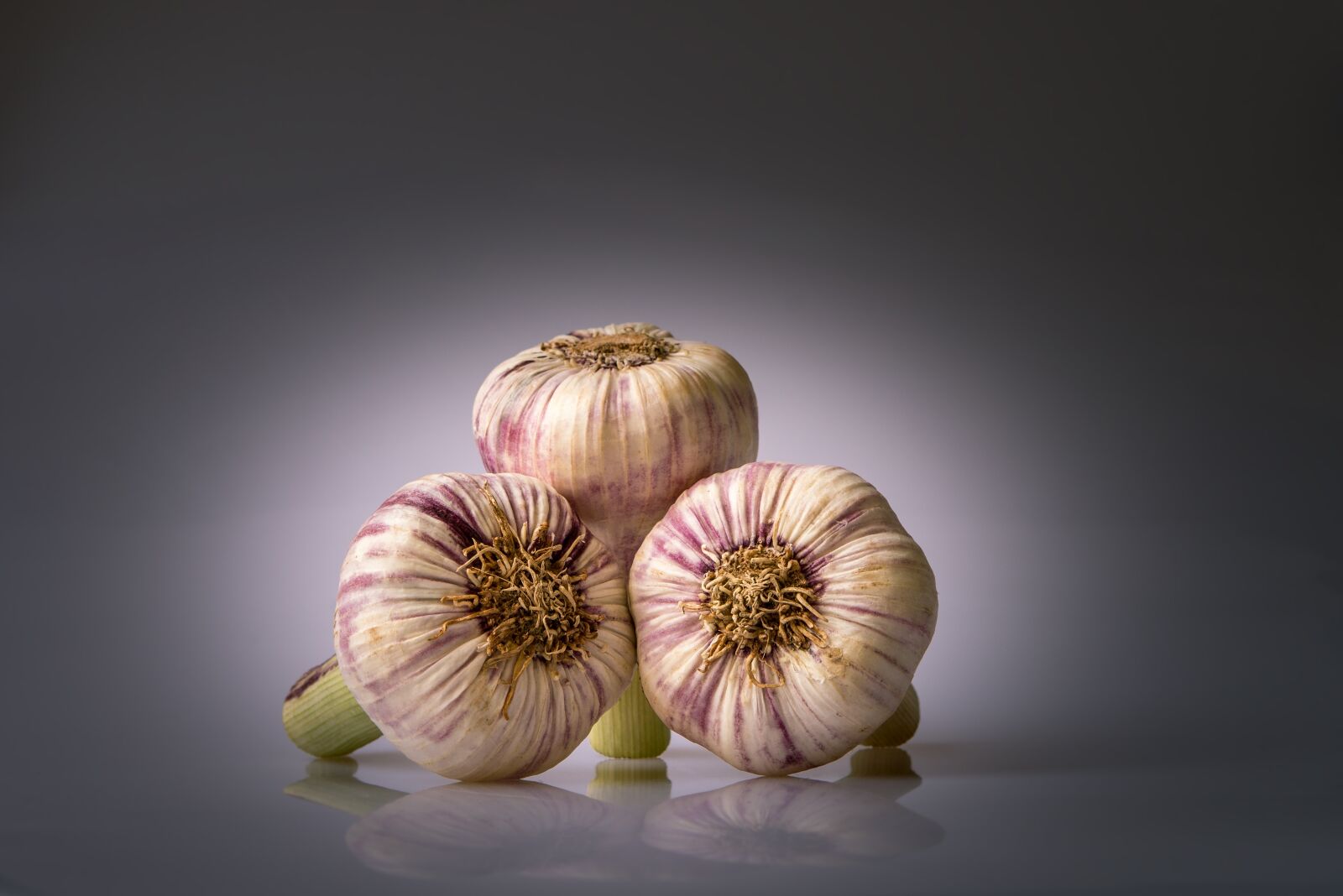 Nikon D800 sample photo. Garlic, condiment, heads of photography