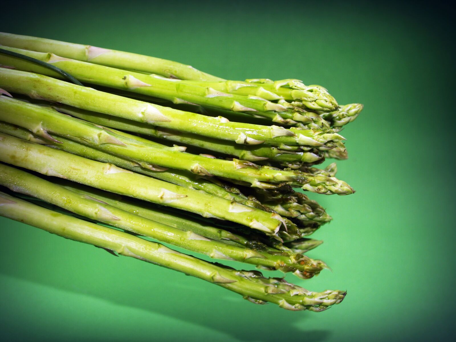 Olympus E-300 (EVOLT E-300) sample photo. Food, asparagus, gourmet photography