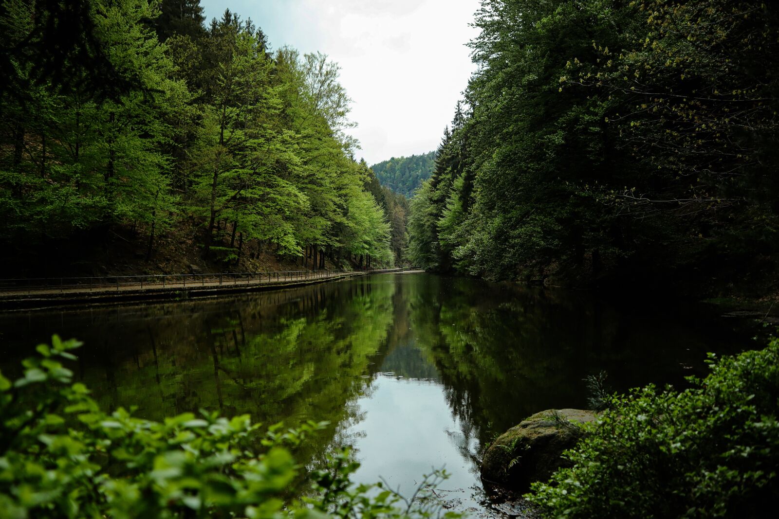 Canon EOS M50 (EOS Kiss M) sample photo. Nature, wood, waters photography