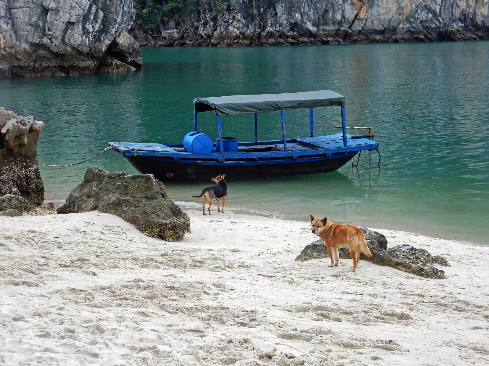 Nikon Coolpix S9900 sample photo. Beach, mood, water photography