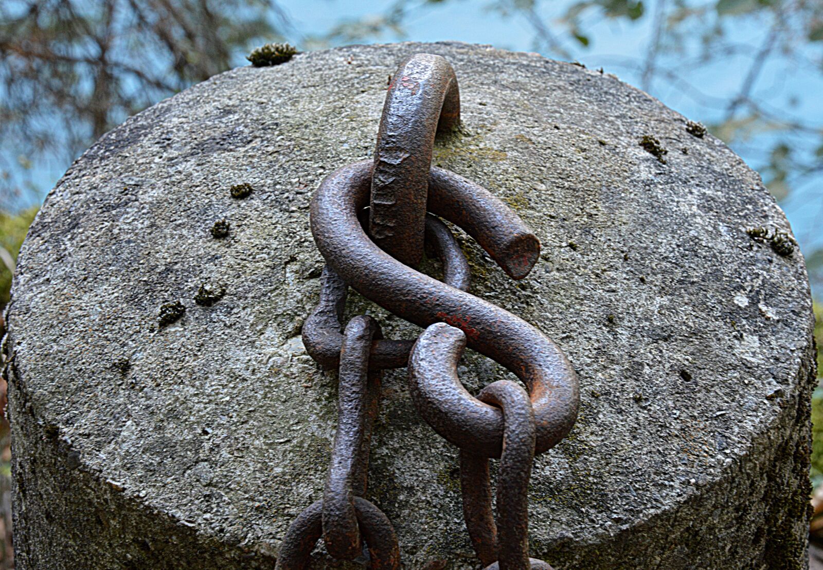 Nikon D3200 sample photo. String, rust, iron photography