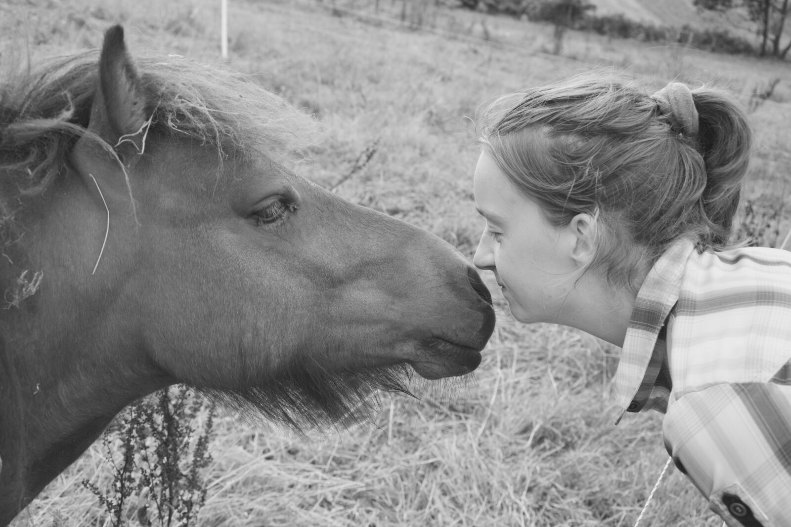 Nikon D5200 sample photo. Pony, shetland, photo black photography