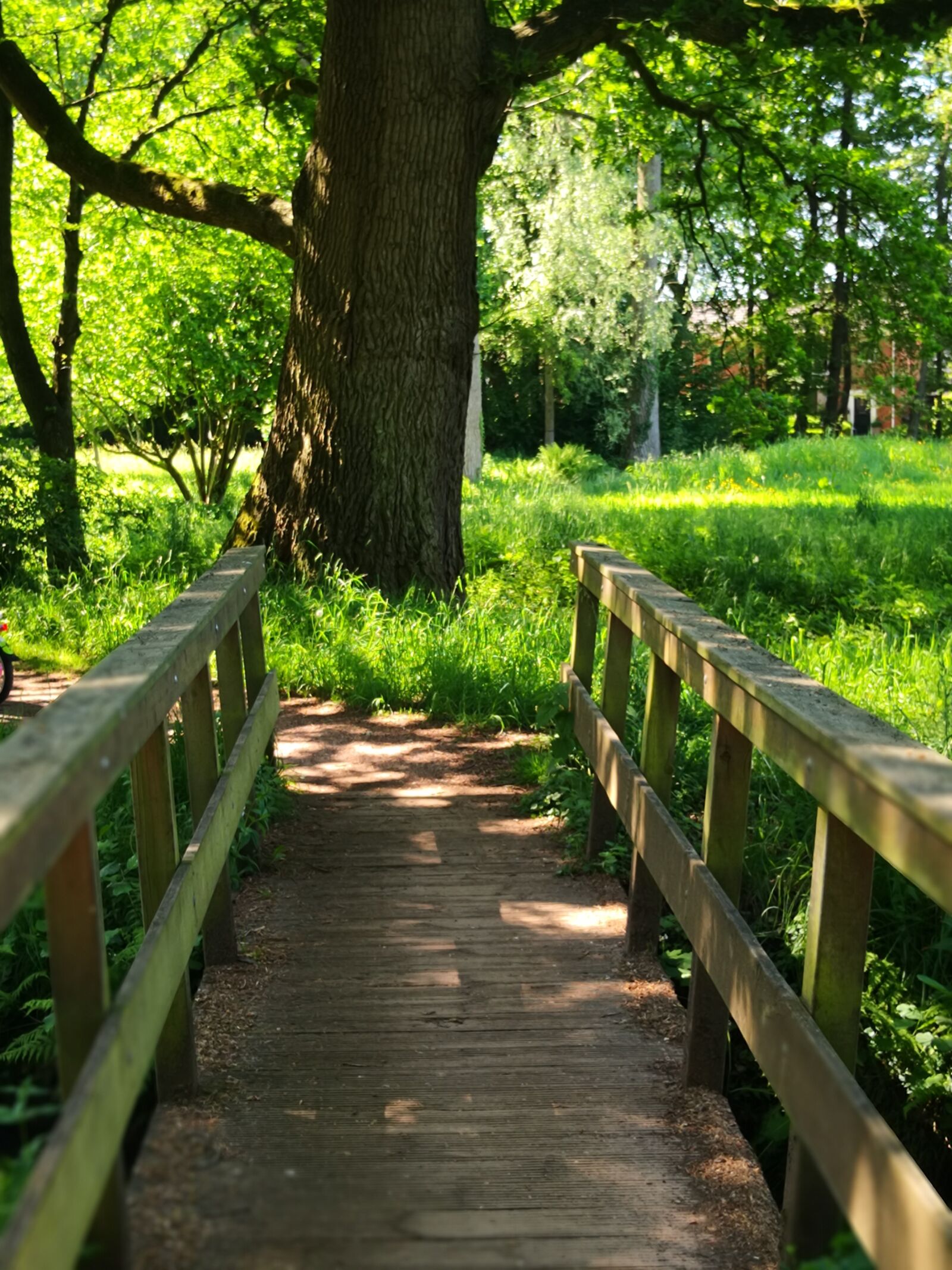 HUAWEI Mate 10 Pro sample photo. Bridge, crossing, tree photography