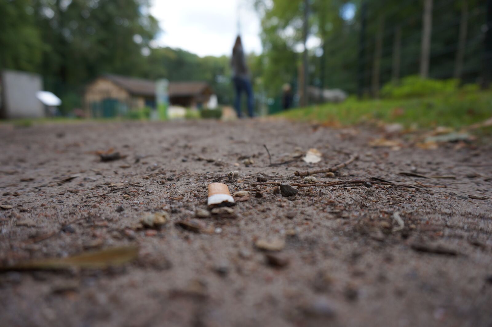 Sony Alpha NEX-3N sample photo. Cigarette, waste, nature photography