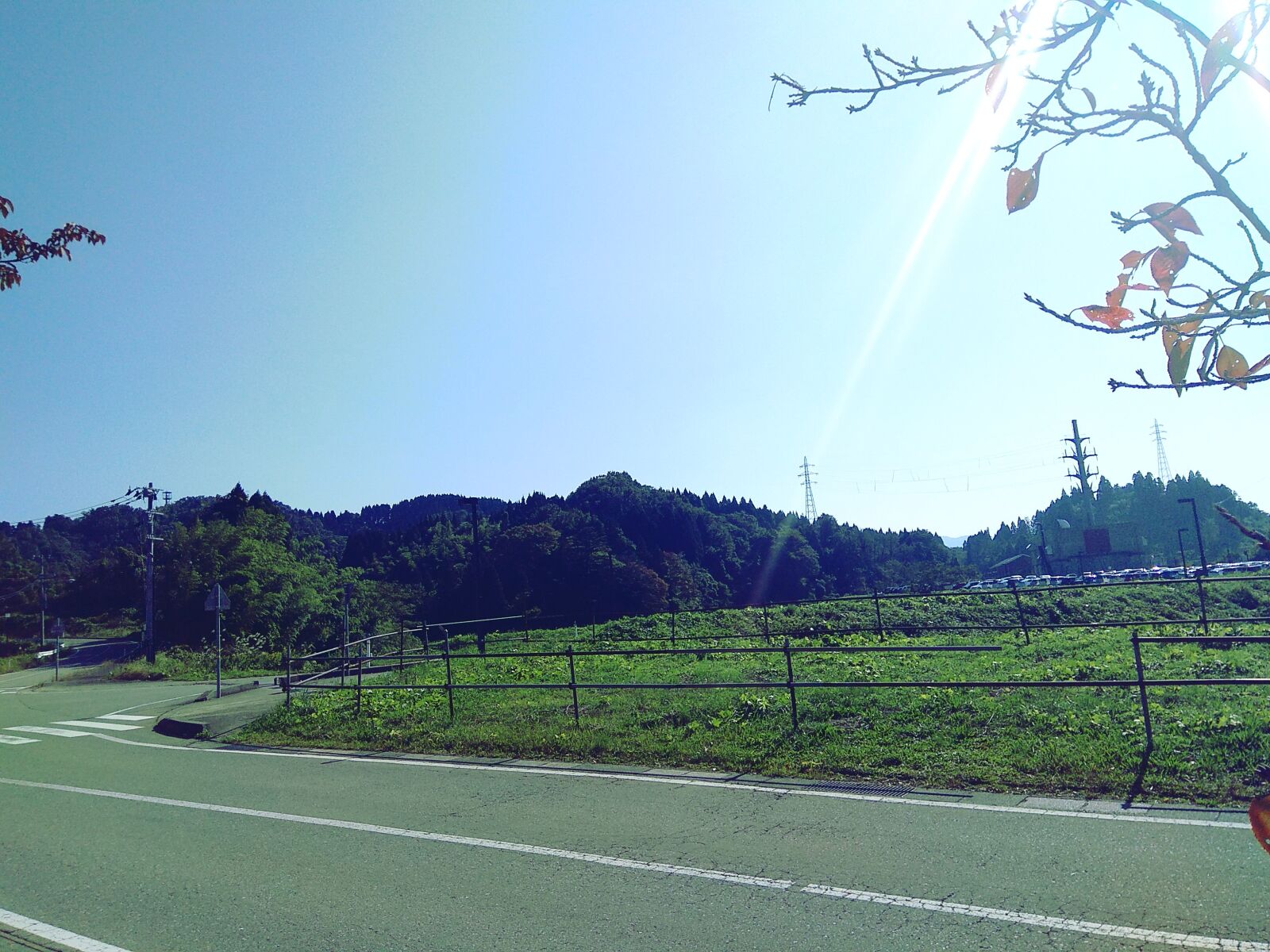 Xiaomi Redmi Note 4 sample photo