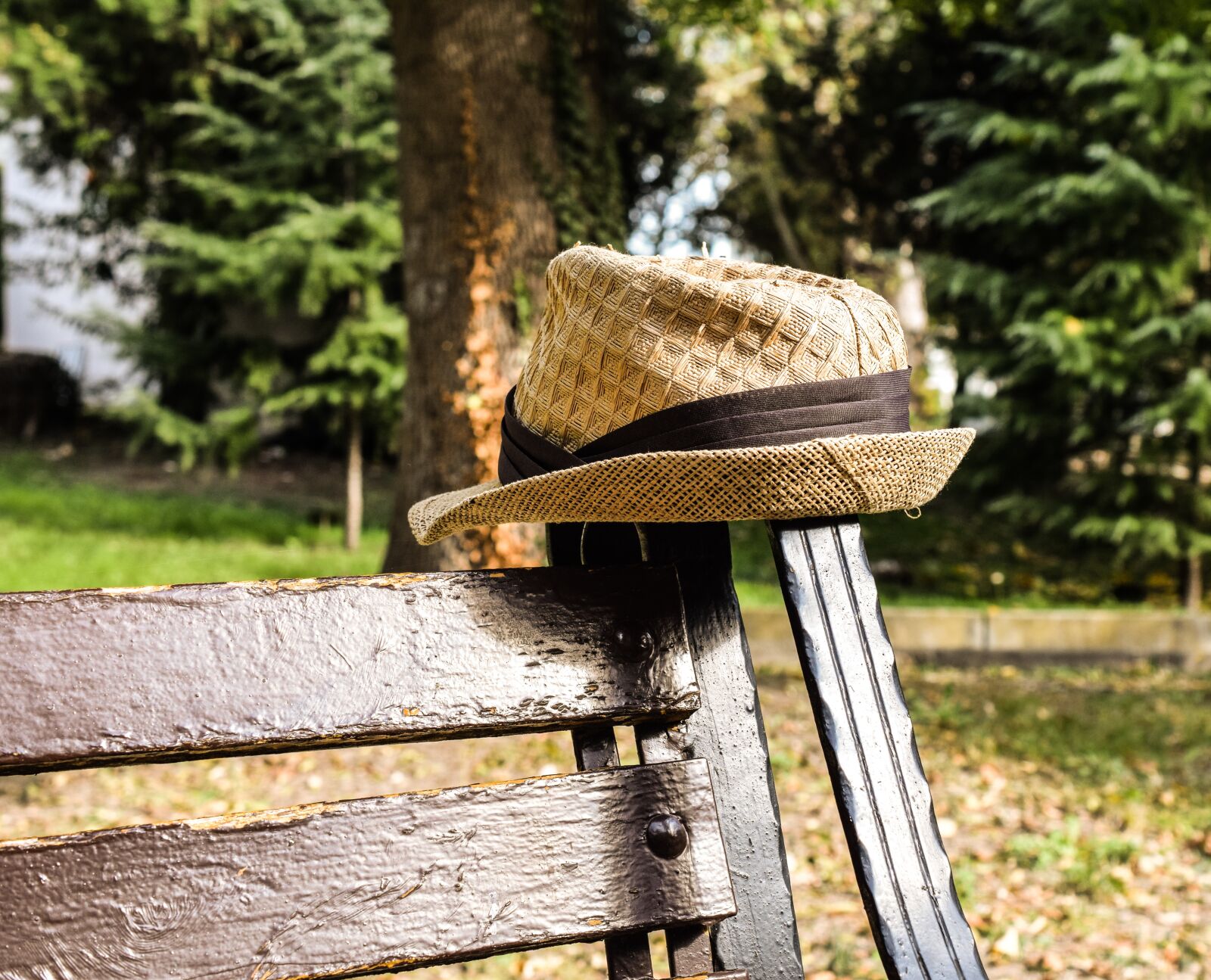 Nikon D5300 sample photo. Hat, park, season photography