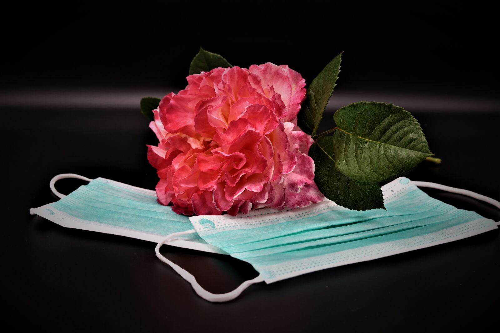 Canon EOS RP sample photo. Corona, covid, coronavirus photography