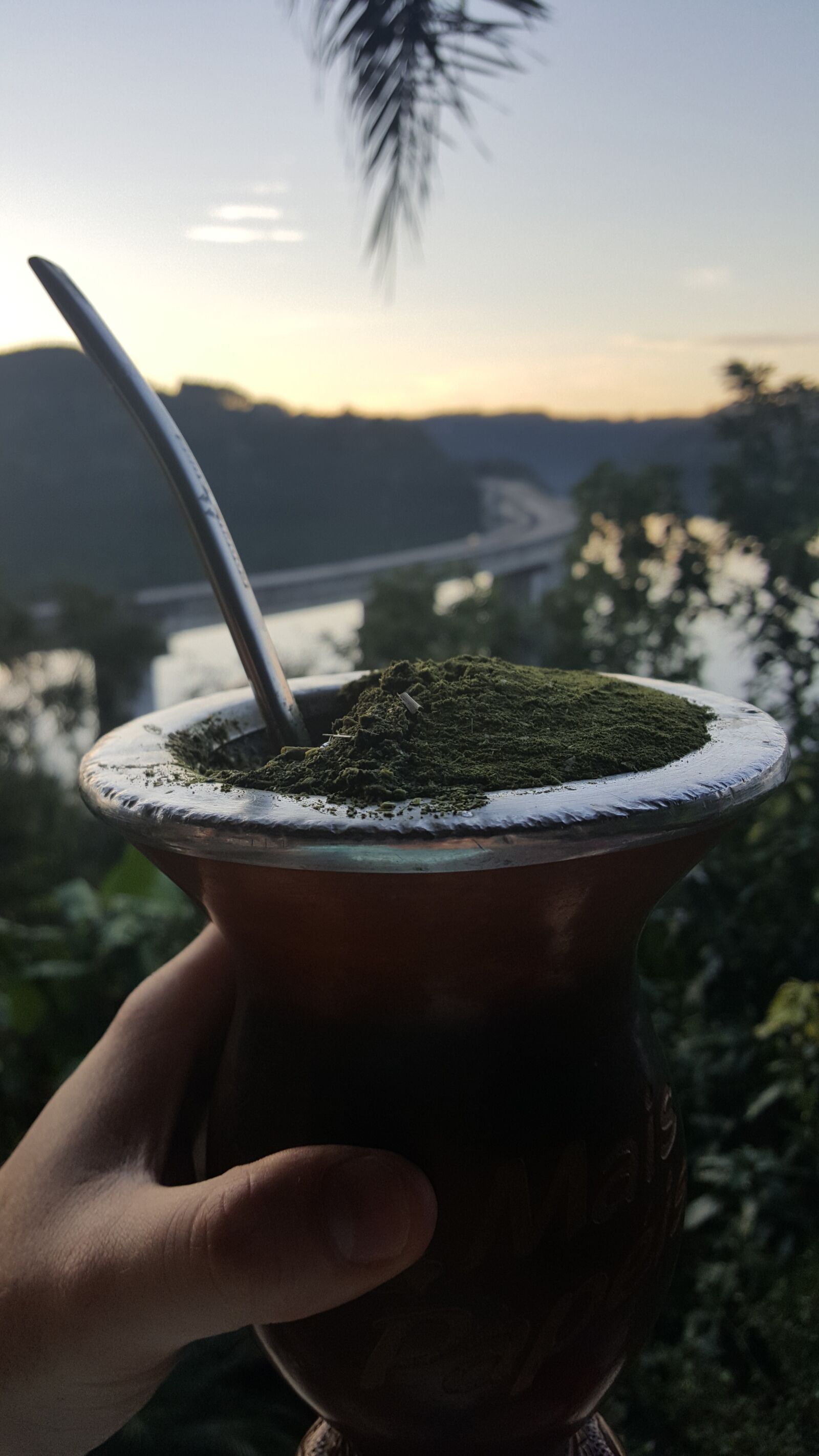 Samsung GALAXY S6 edge sample photo. Landscape, chimarrão, sunny photography