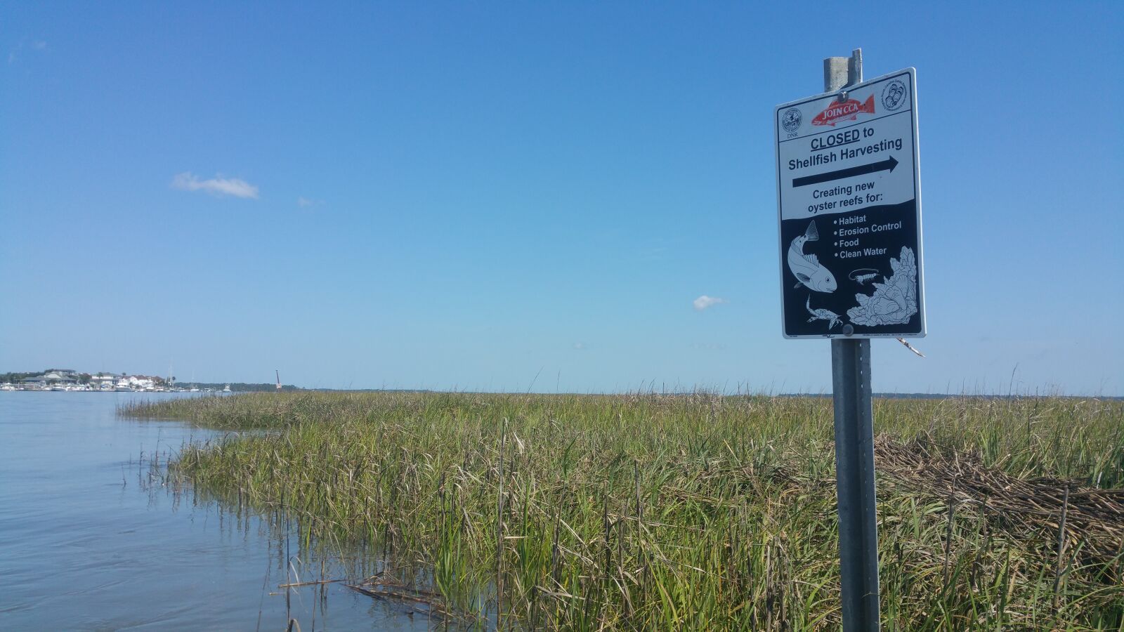 Samsung Galaxy Note4 sample photo. Marsh, south, carolina photography