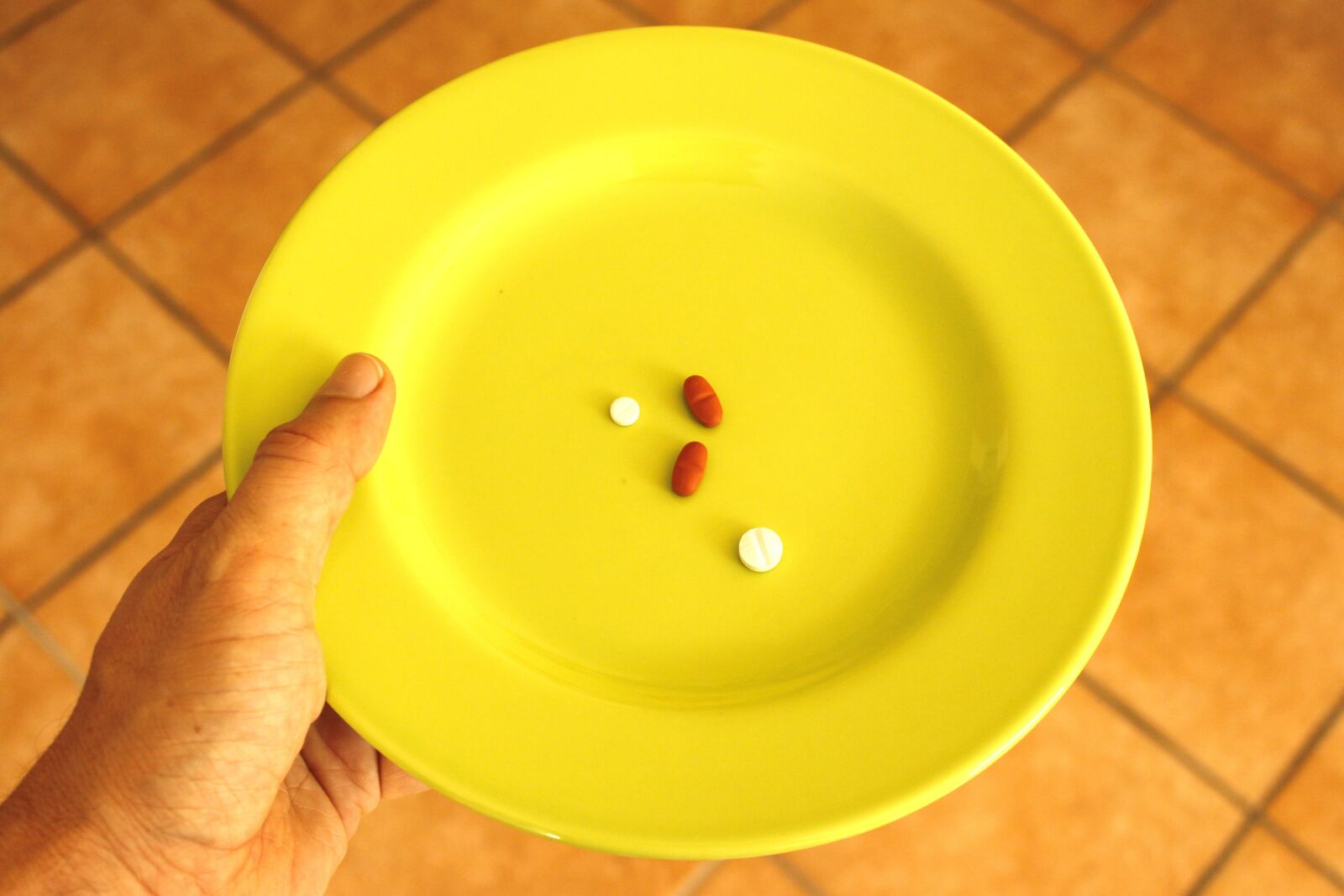 Canon EOS 500D (EOS Rebel T1i / EOS Kiss X3) sample photo. Pill, plate, pills photography