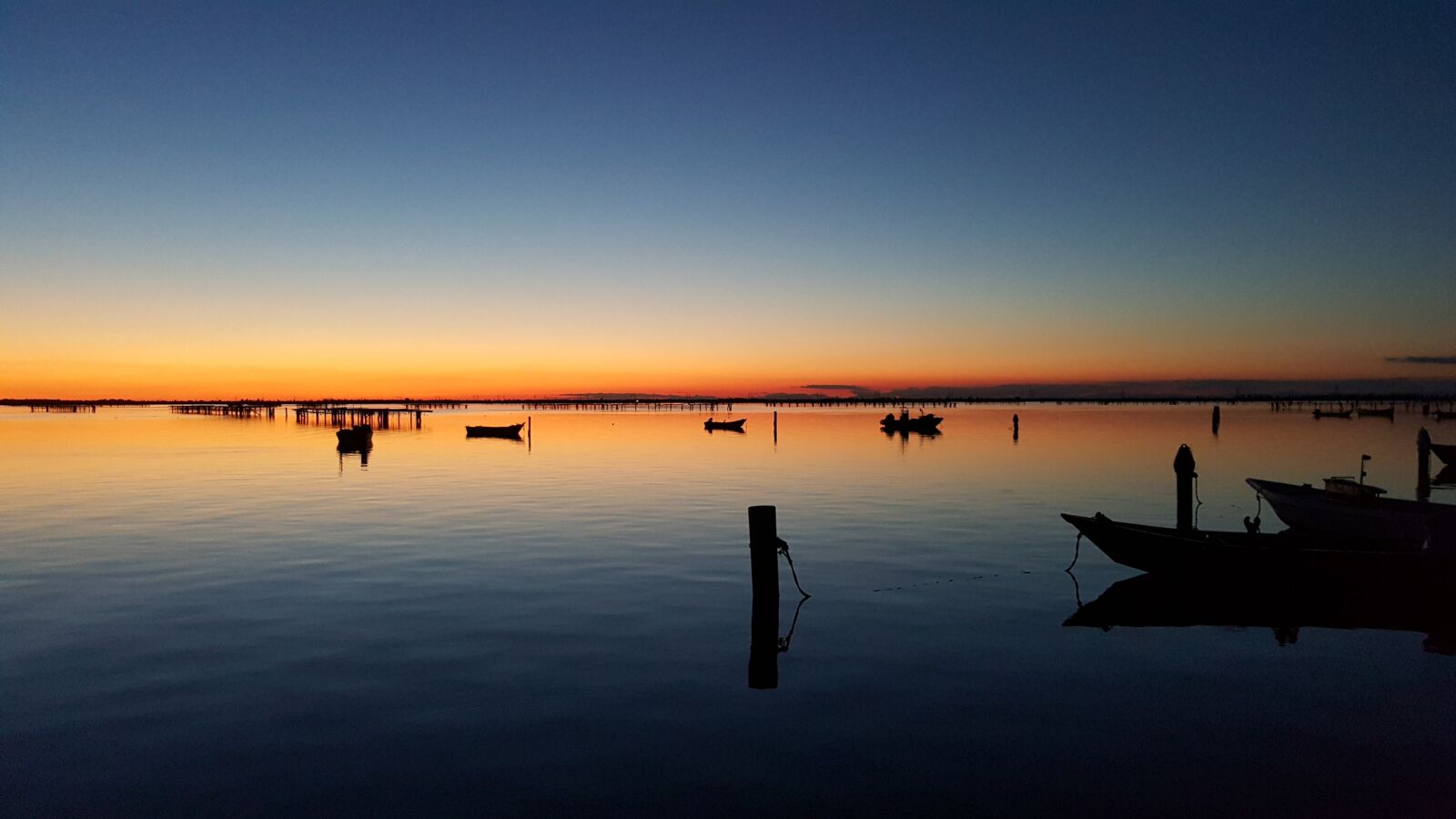 Samsung GALAXY S6 edge sample photo. Sacca, scardovari, rovigo photography