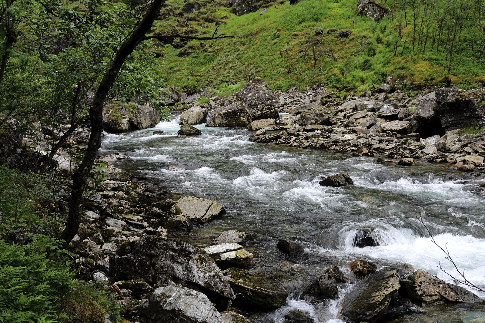 Canon EOS 750D (EOS Rebel T6i / EOS Kiss X8i) sample photo. Mountain stream, norway, wild photography