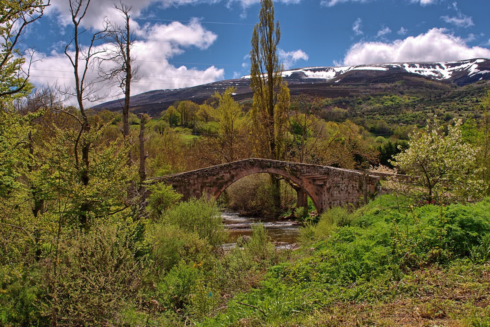 Nikon D3400 sample photo. Landscape, bridge, nature photography