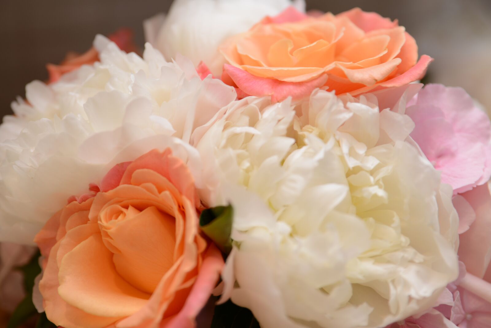 Nikon D600 sample photo. Flowers, wedding, bouquet photography