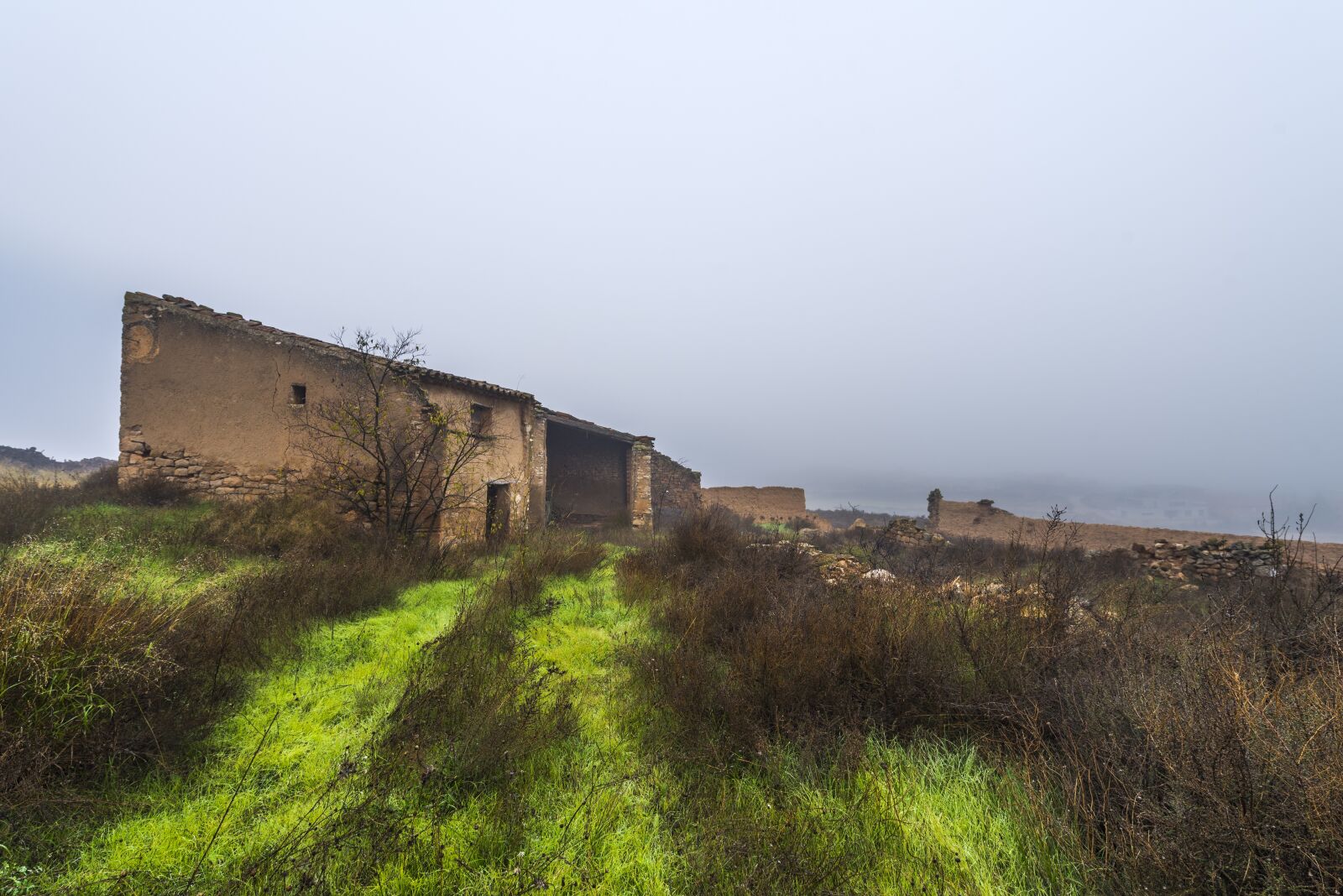Nikon D750 sample photo. Fog, tree, landscape photography
