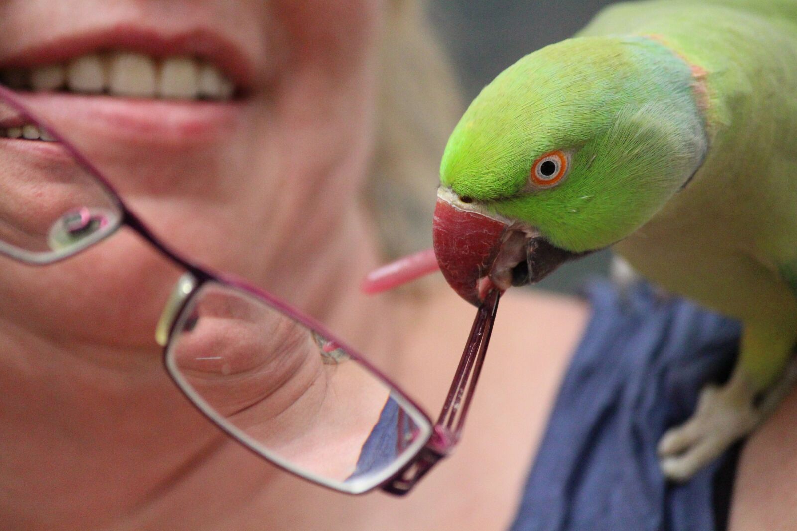 Canon EOS 650D (EOS Rebel T4i / EOS Kiss X6i) sample photo. Woman, parrot, glasses photography