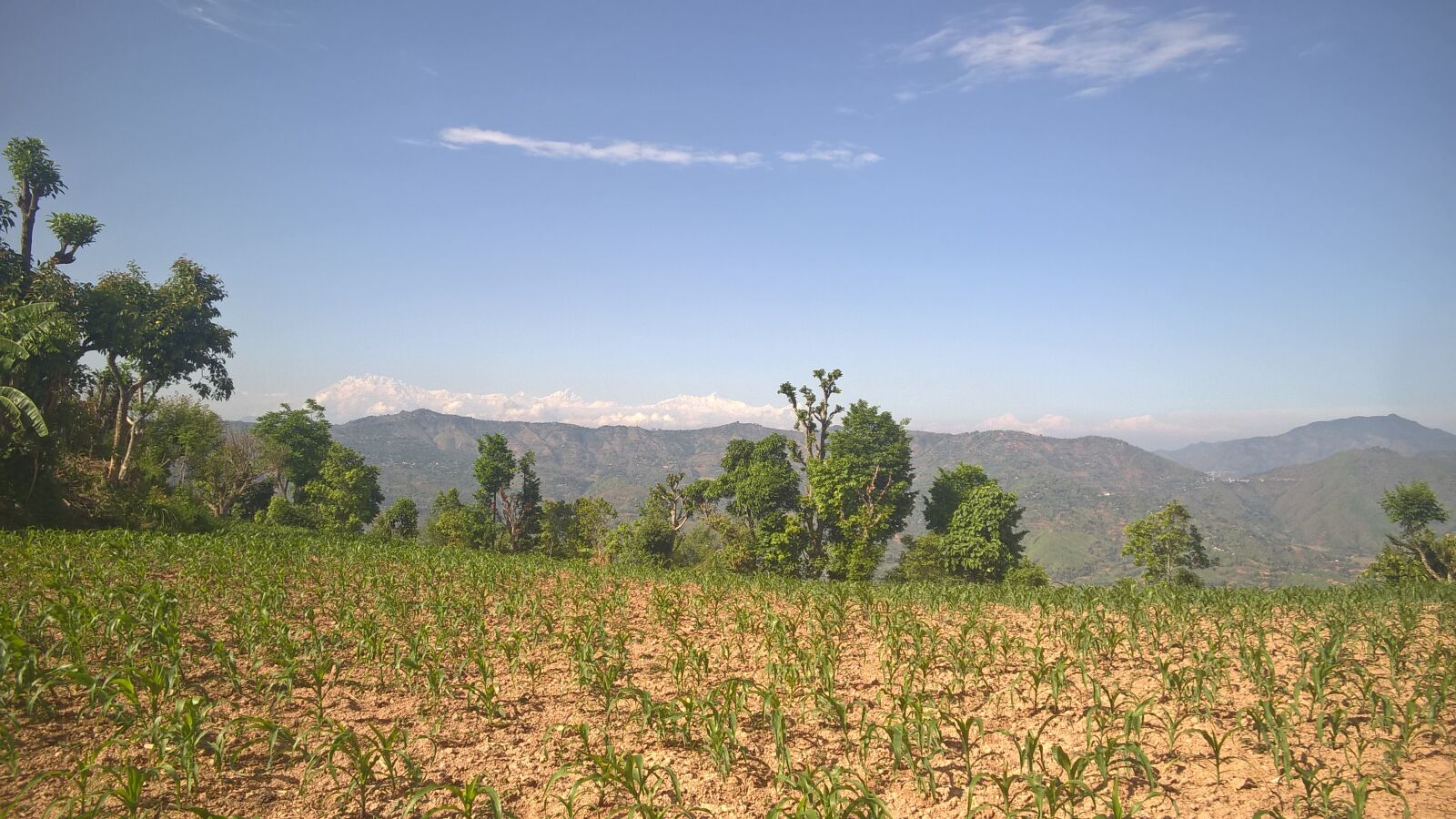 Nokia Lumia 830 sample photo. Sky, crops, nepal photography