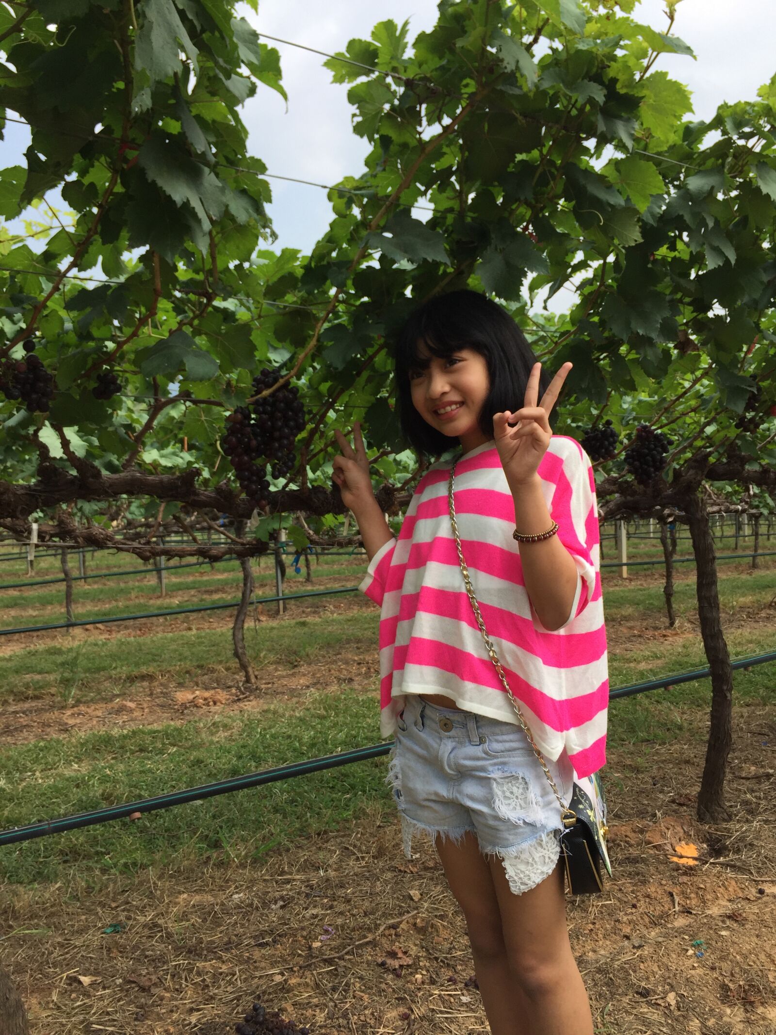 iPhone 6 back camera 4.15mm f/2.2 sample photo