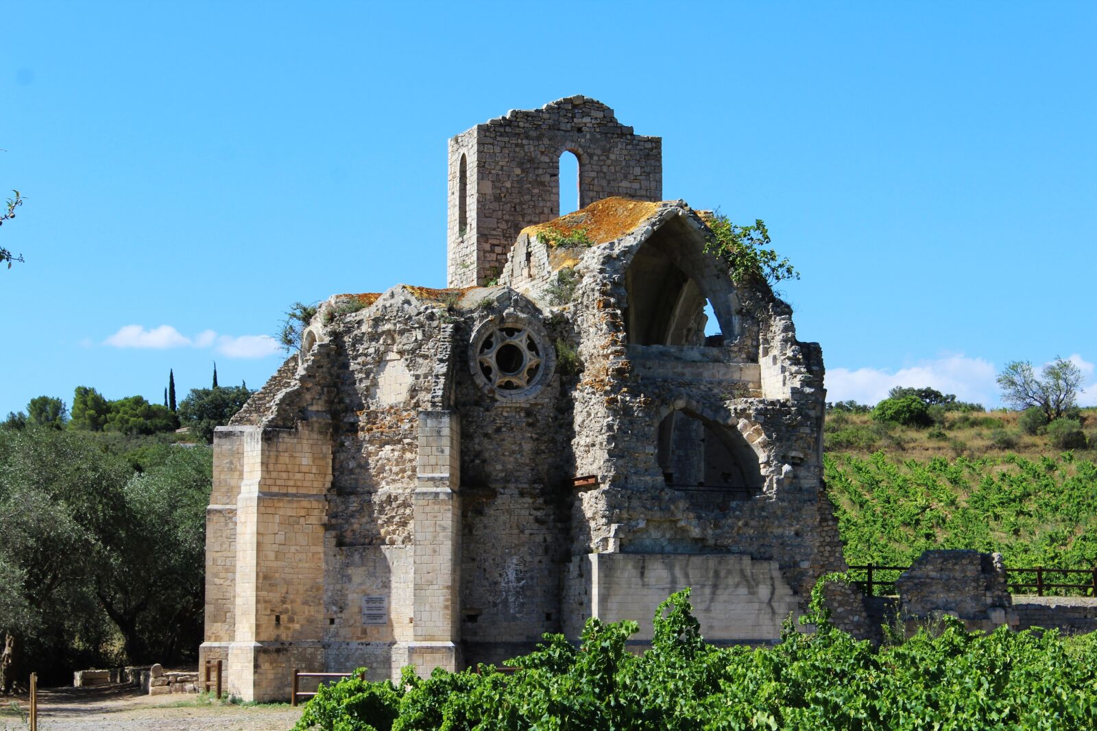 Canon EOS 1200D (EOS Rebel T5 / EOS Kiss X70 / EOS Hi) sample photo. Church, cathar church, ruin photography