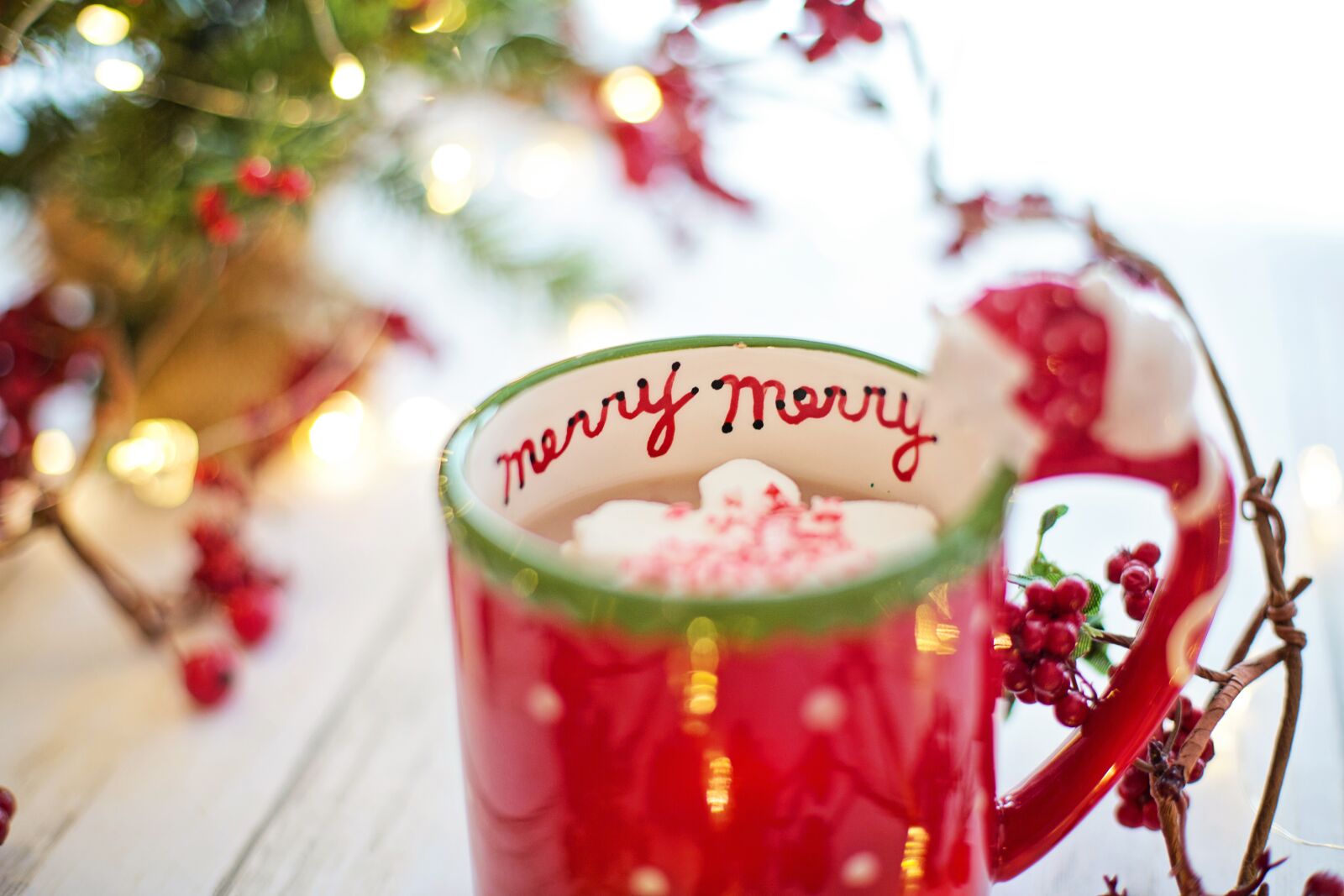 Canon EF 50mm F1.4 USM sample photo. Christmas, hot chocolate, cocoa photography