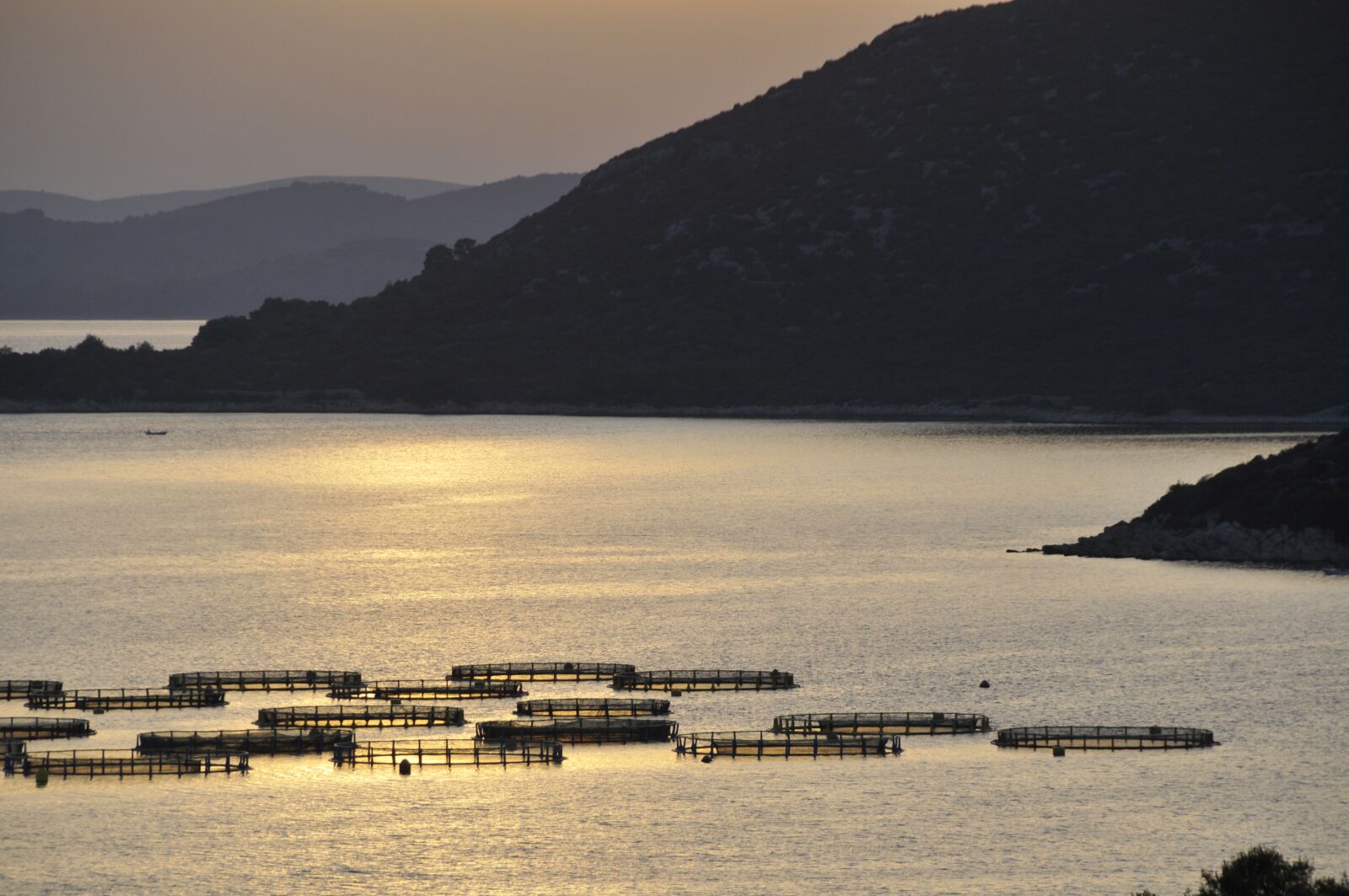Nikon D300 sample photo. Croatia, sea, breeding marine photography