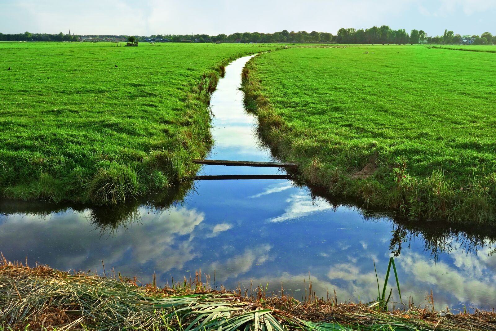 Sony Cyber-shot DSC-RX100 sample photo. Waterway, grassy banks, meadows photography