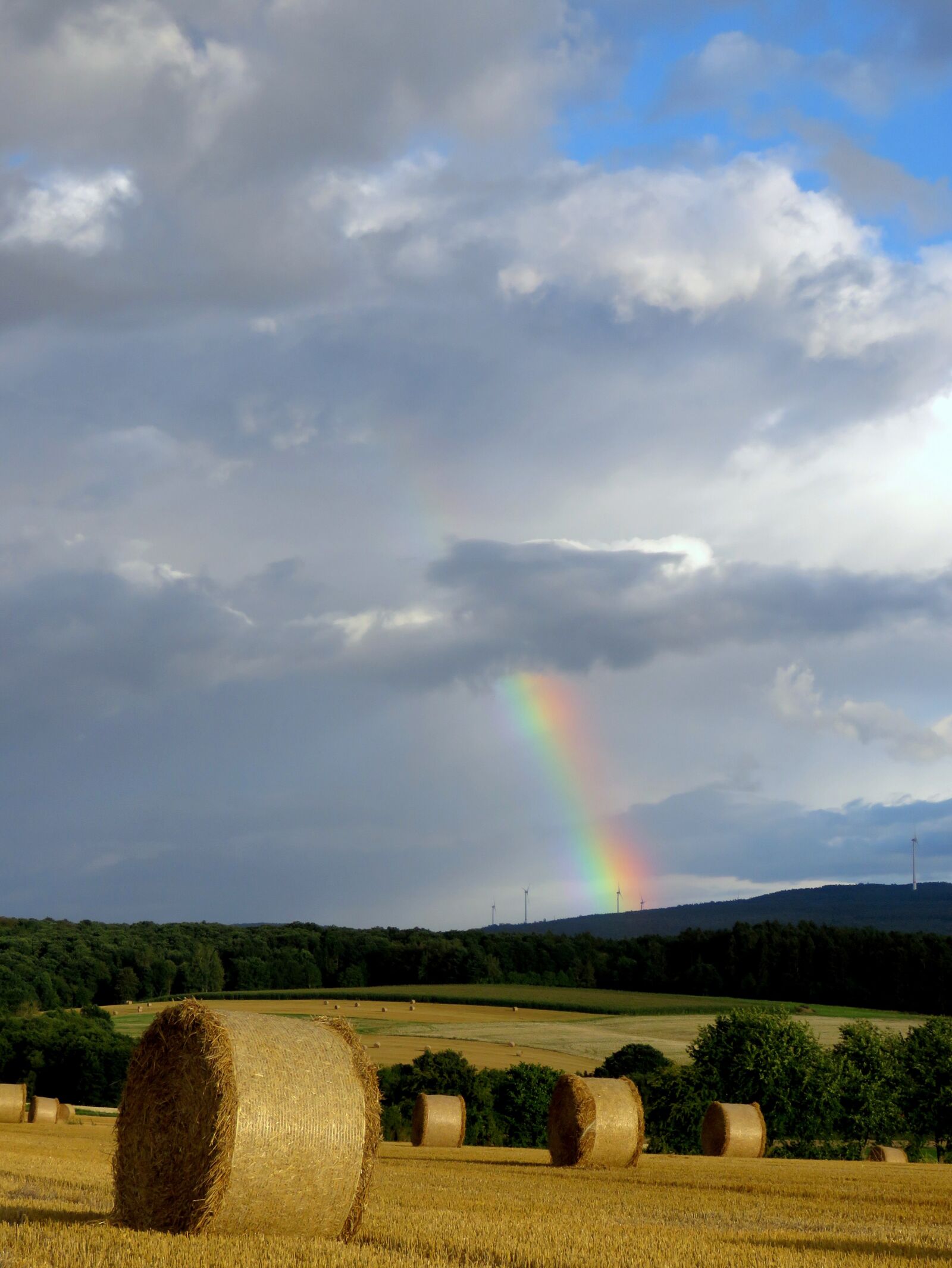 Canon PowerShot SX60 HS sample photo. Rainbow, color, field photography