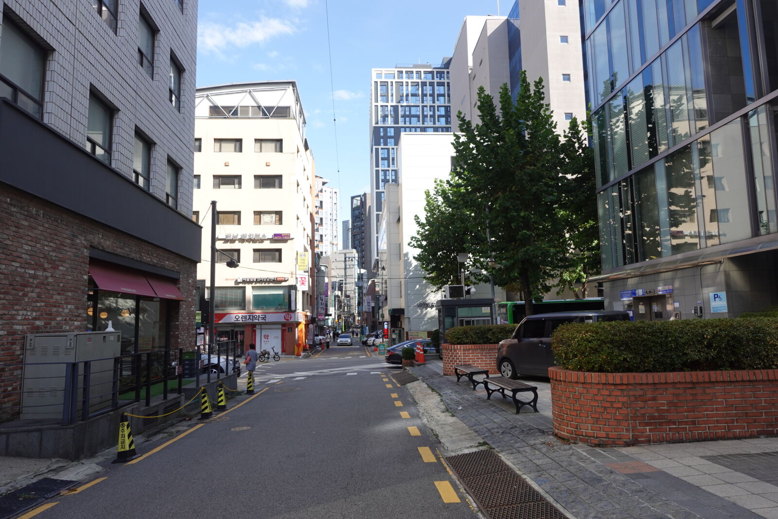 Sony ZV-1 sample photo