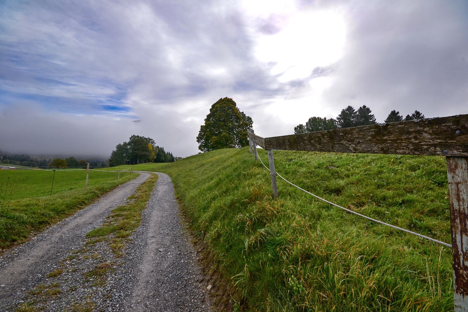 Nikon D3100 sample photo. Landscape, meadow, rural photography