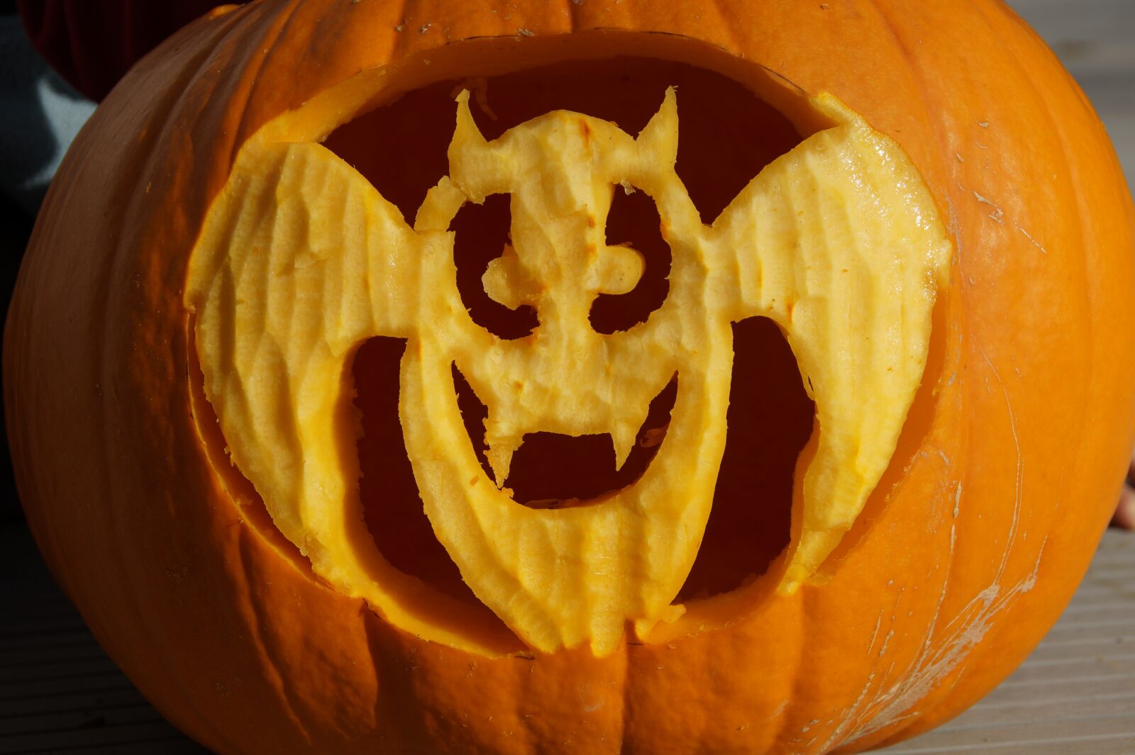 Sony SLT-A58 sample photo. Bat, halloween, pumpkin photography