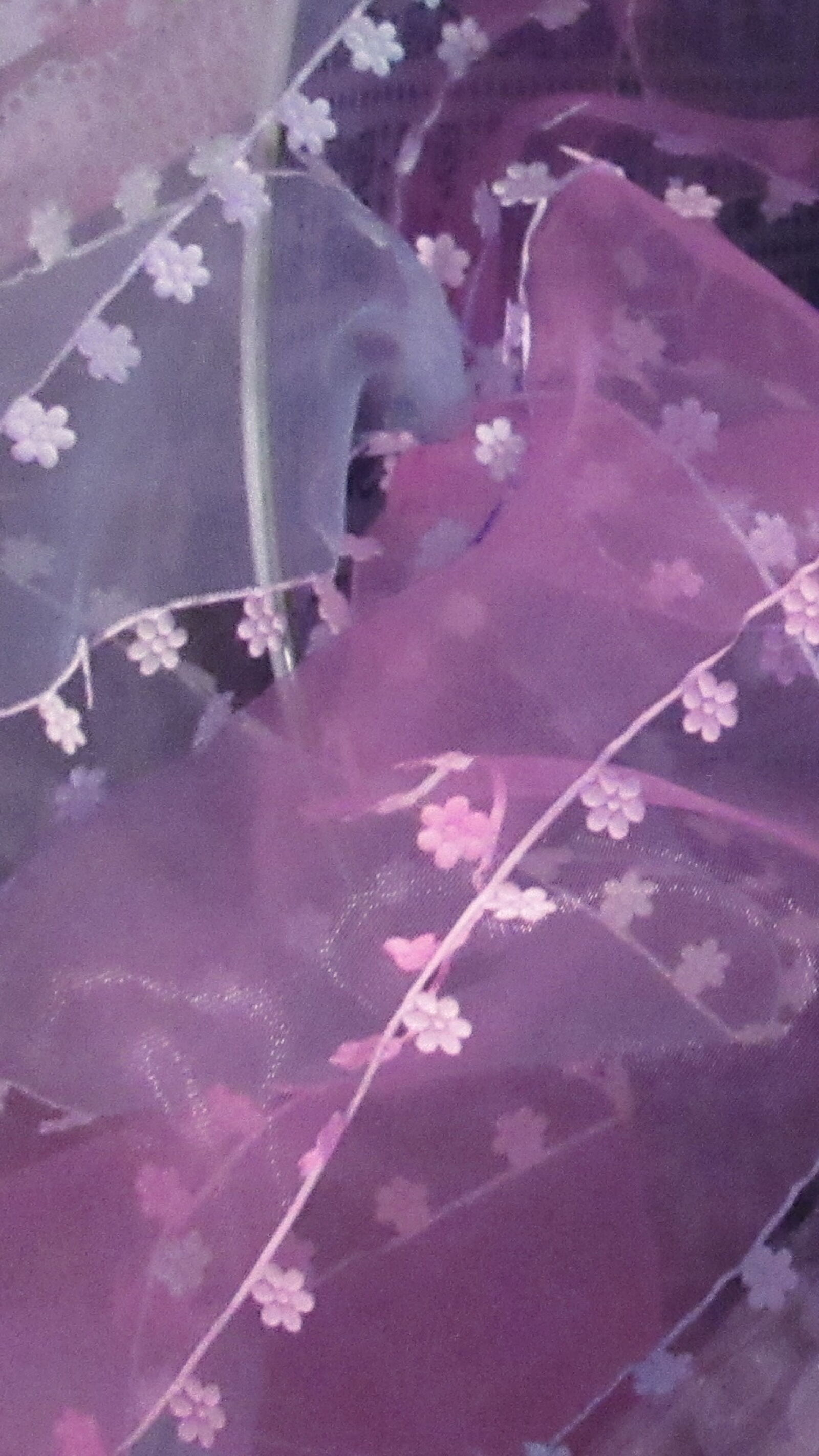 Canon PowerShot SX620 HS sample photo. Birthday, blue, colorful, flowers photography