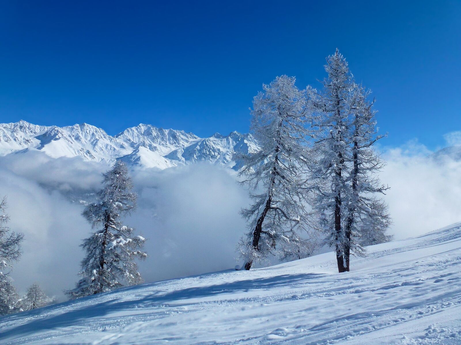 Panasonic Lumix DMC-ZS10 (Lumix DMC-TZ20 / Lumix DMC-TZ22) sample photo. Trees, snow, mountain photography