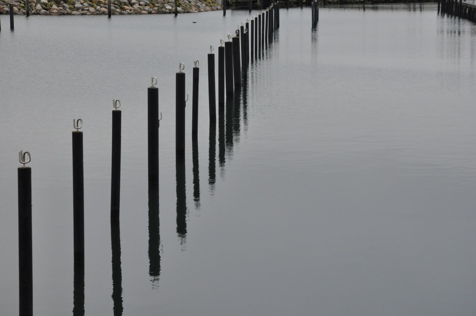 Nikon D90 sample photo. Piles in the water photography