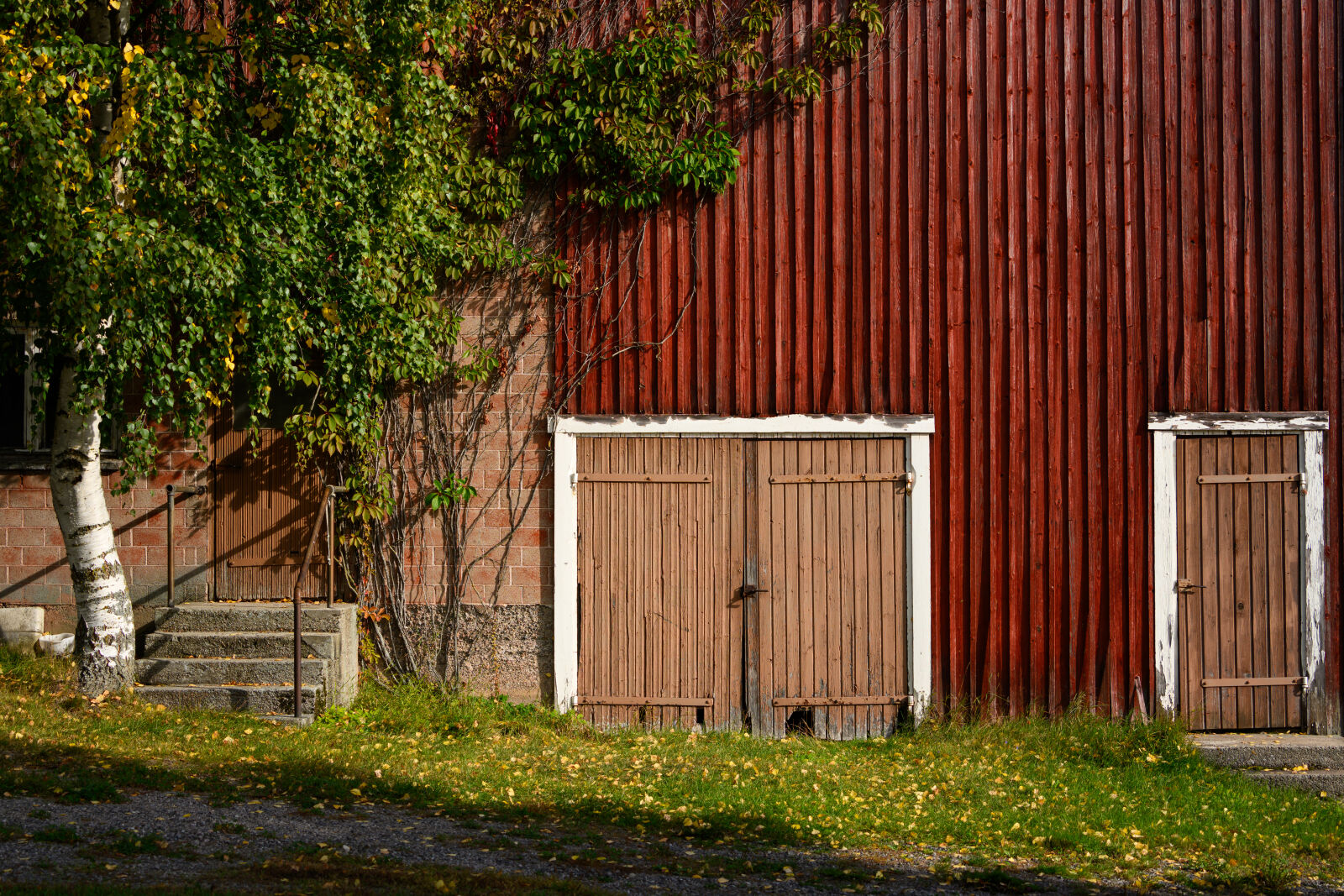 Nikon Z8 sample photo. Barn door photography