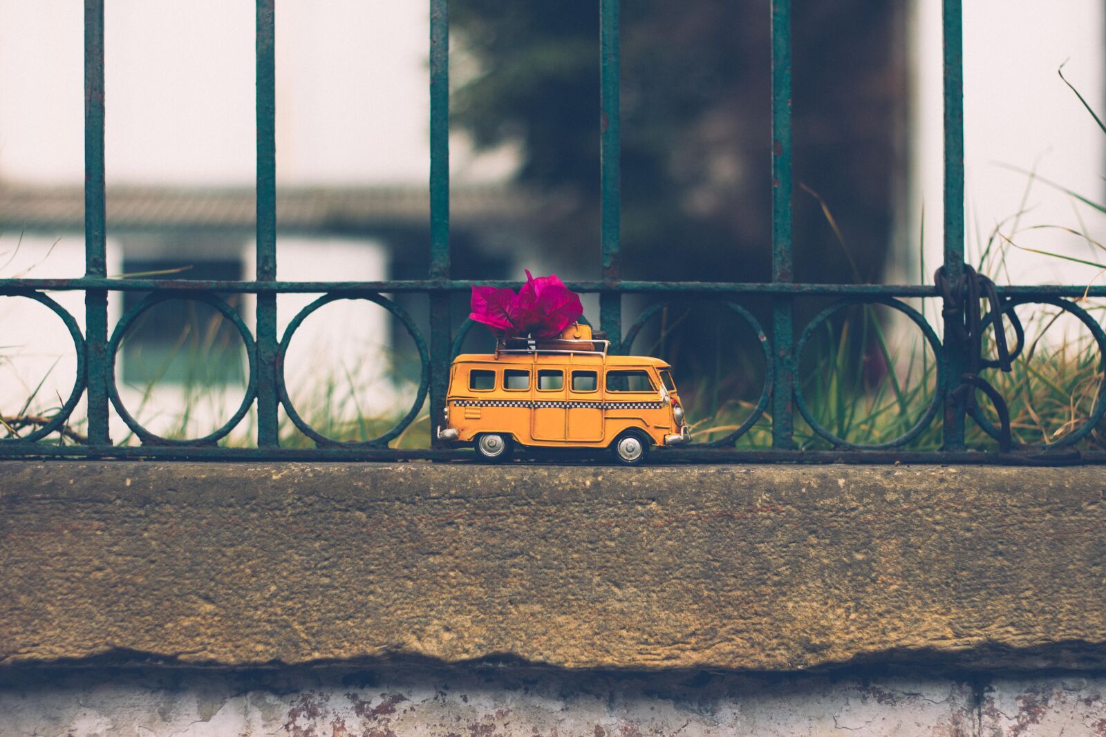Canon EOS 60D + Canon EF 50mm F1.8 II sample photo. Flowers, green, taxi, vintage photography
