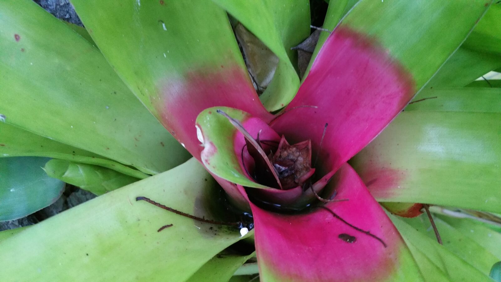 Samsung Galaxy Note4 sample photo