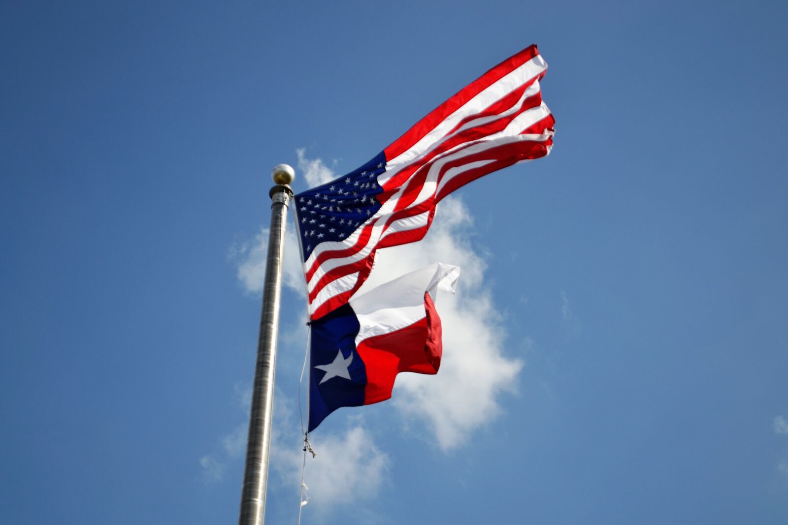 Nikon D3100 sample photo. Texas flag, american flag photography