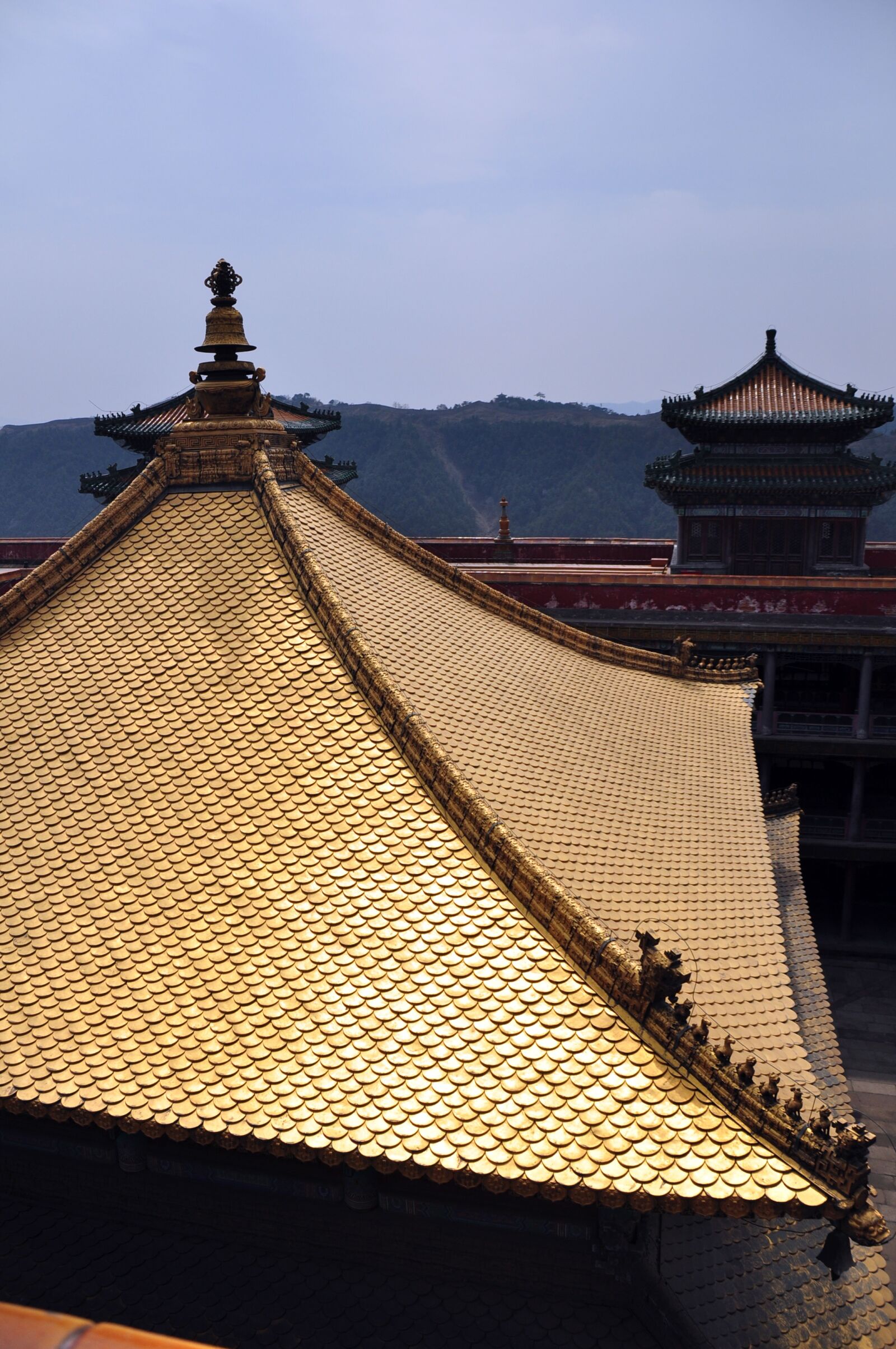 Nikon D90 sample photo. Magnificent, temple, gold photography
