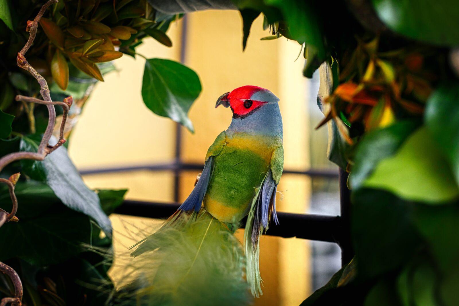 Panasonic Lumix DMC-GX8 sample photo. Budgie, bird, deco photography