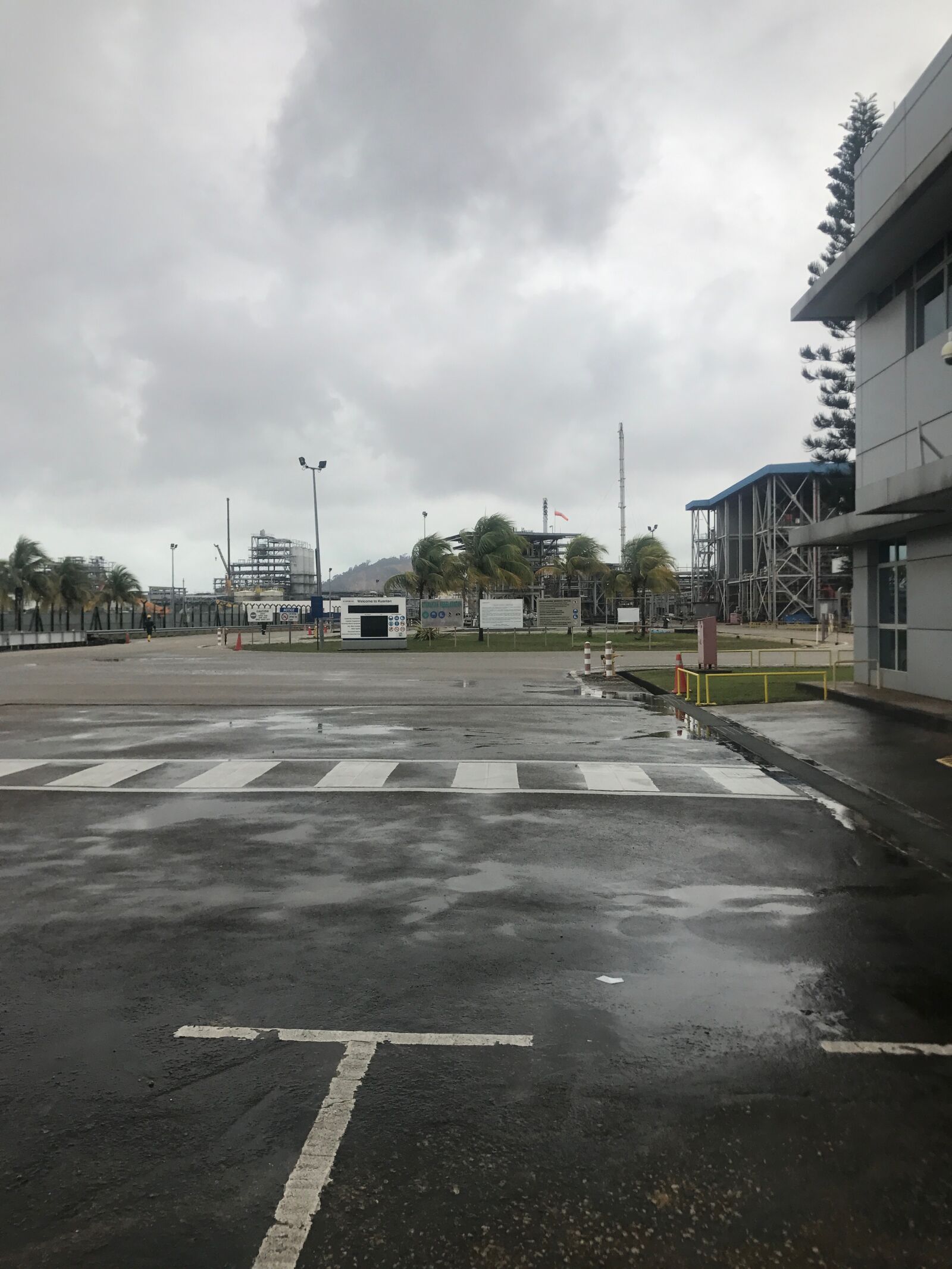 iPhone 7 back camera 3.99mm f/1.8 sample photo. Road, crosswalk, cloudy photography