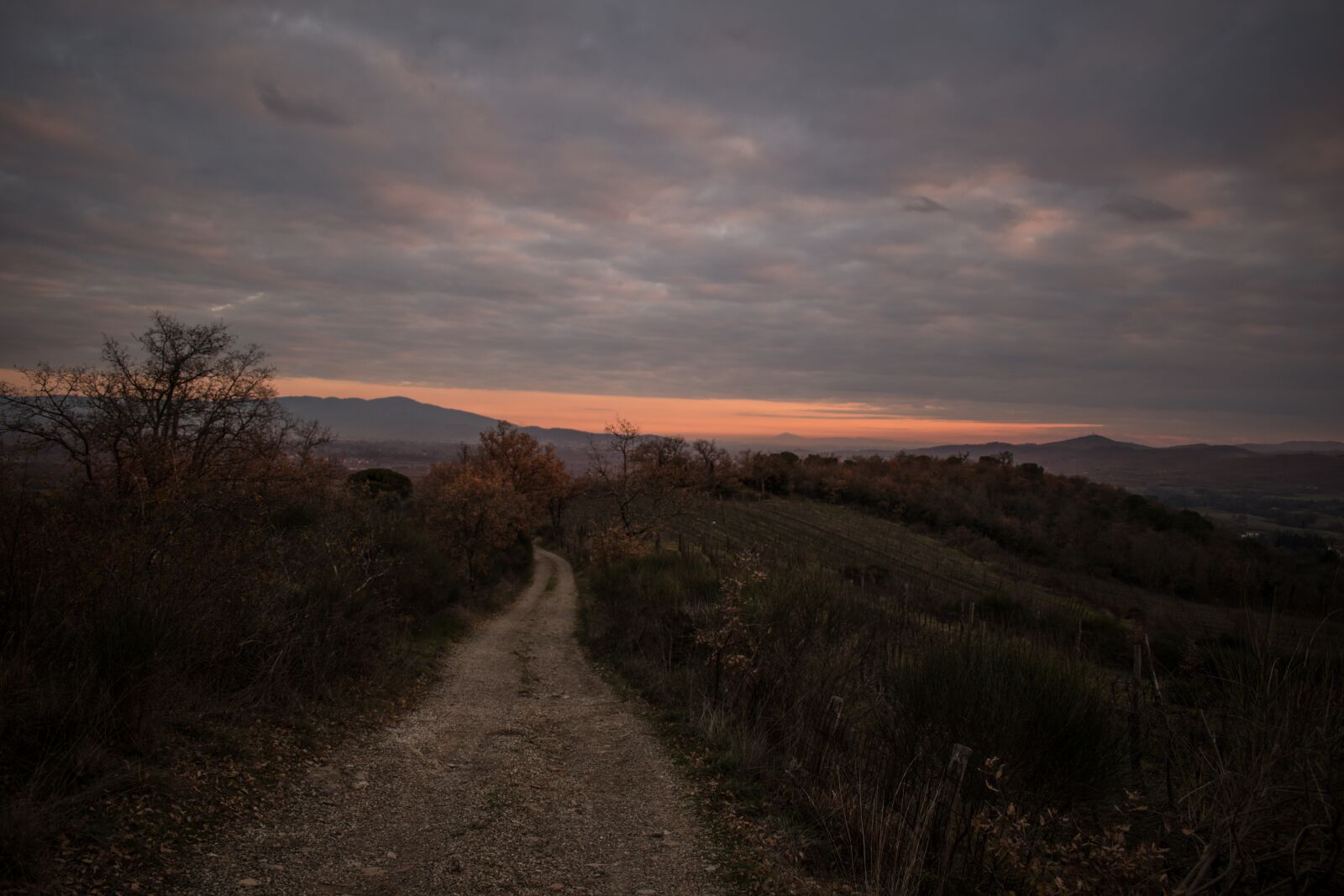 Nikon D5600 sample photo. Tuscany, countryside, panorama photography
