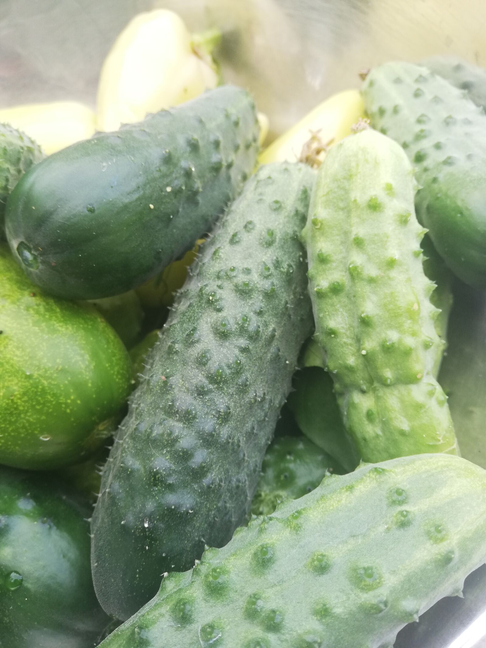HUAWEI ANE-LX1 sample photo. Cucumbers, green, vegetable garden photography