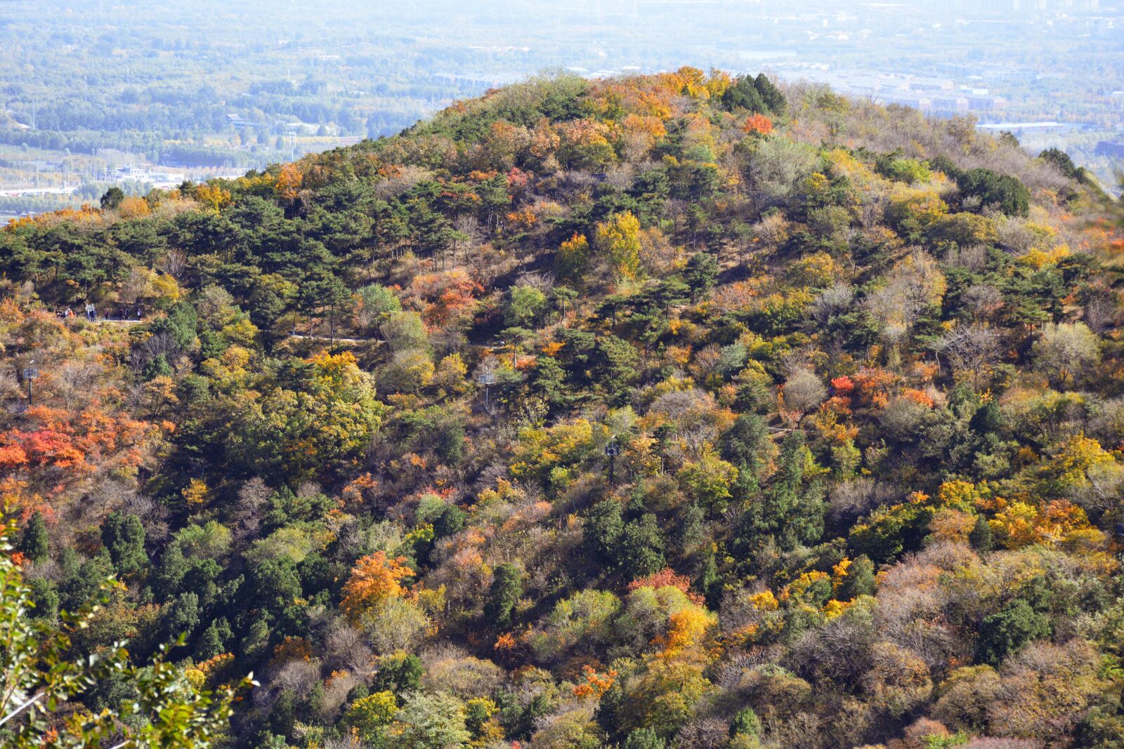 Nikon D7100 sample photo. Autumn, beijing, fragrant hill photography