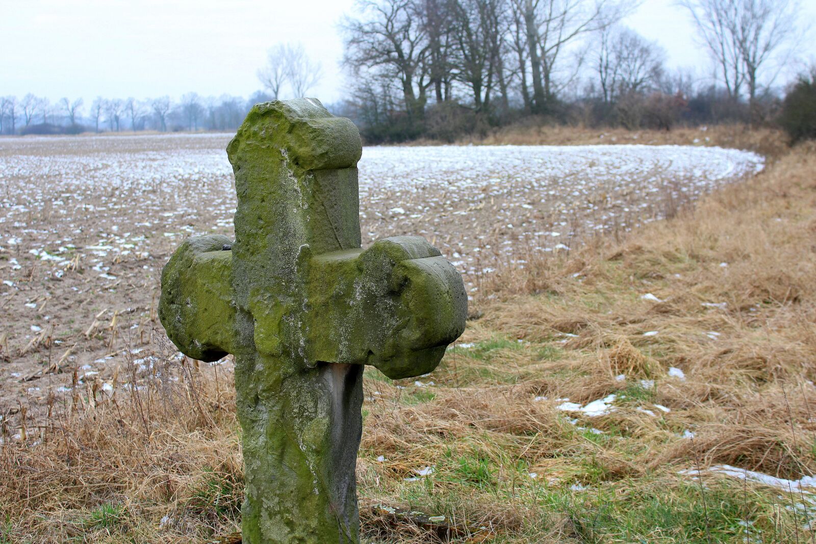 Canon EOS 1200D (EOS Rebel T5 / EOS Kiss X70 / EOS Hi) sample photo. Penitential cross, cross, history photography