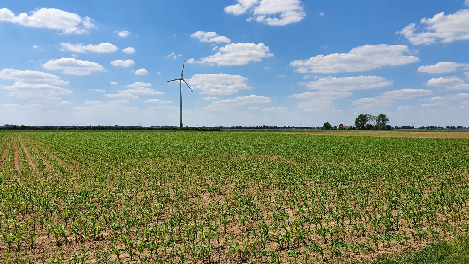 Samsung Galaxy S10+ sample photo. Niederrhein, landscape, nature photography