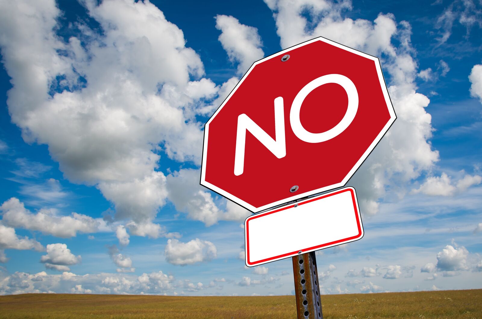 Nikon D5100 sample photo. No, stop, stop sign photography