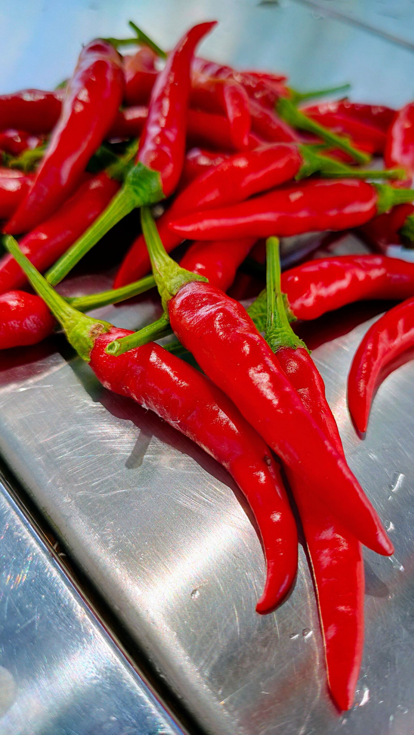 OPPO RENO2 sample photo. Red pepper, plant, red photography