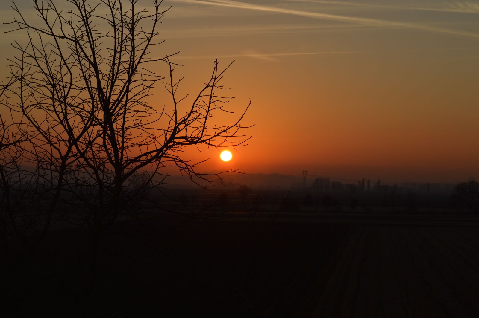 Nikon D3200 sample photo. Sunset, red, branches photography