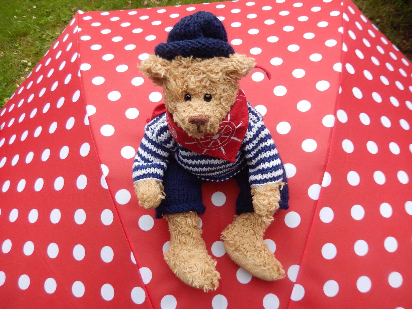 Nikon COOLPIX S9400 sample photo. Teddy, teddy bear, stuffed photography