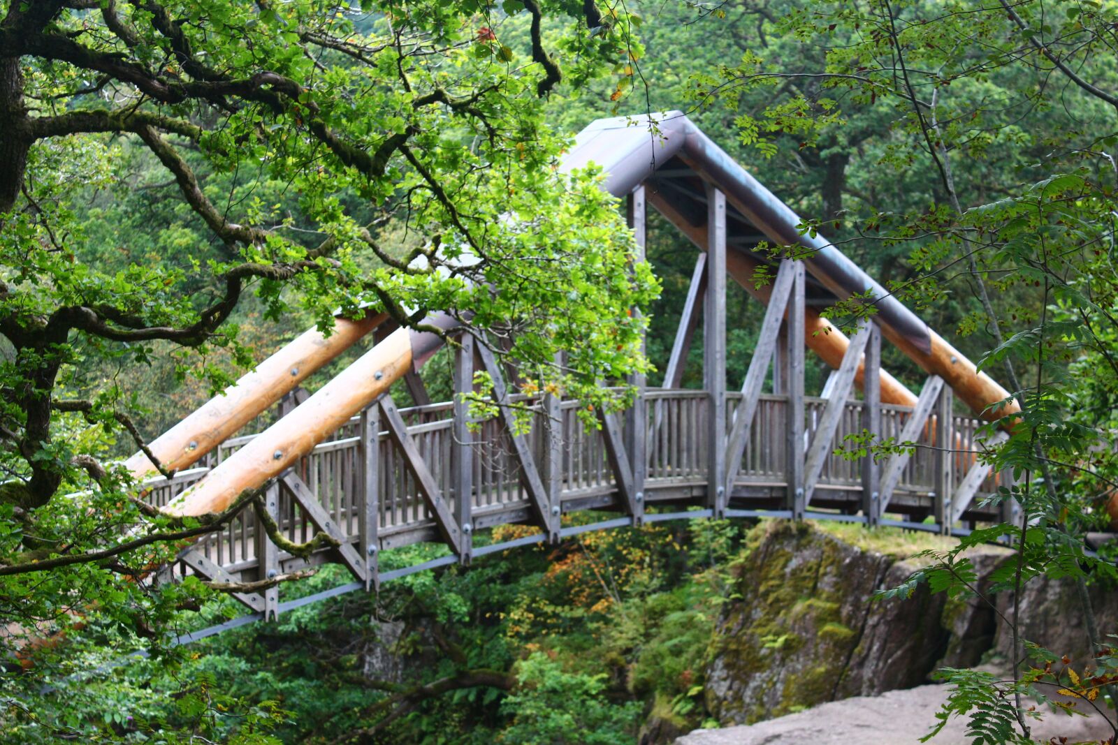 Canon EOS 600D (Rebel EOS T3i / EOS Kiss X5) sample photo. Bridge, nature, wood photography